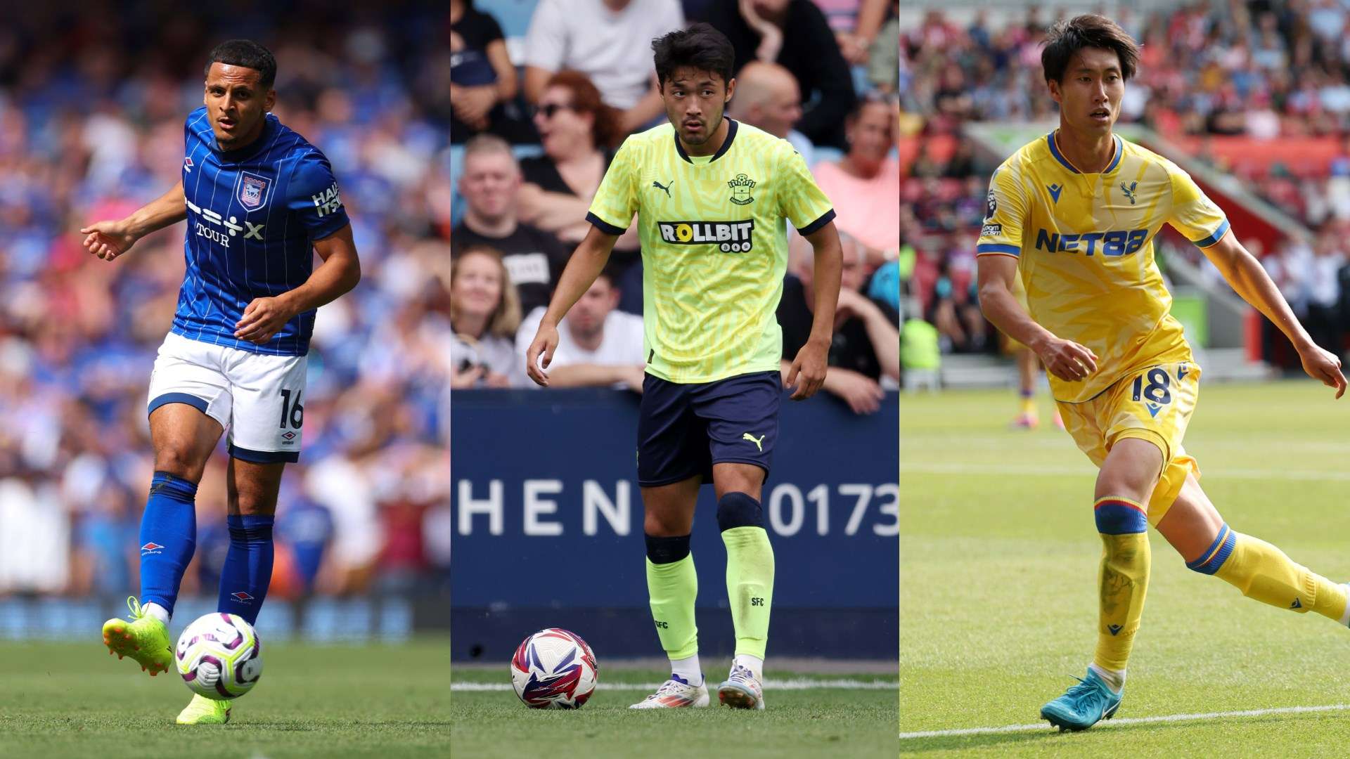 表现充满了 表现充满了