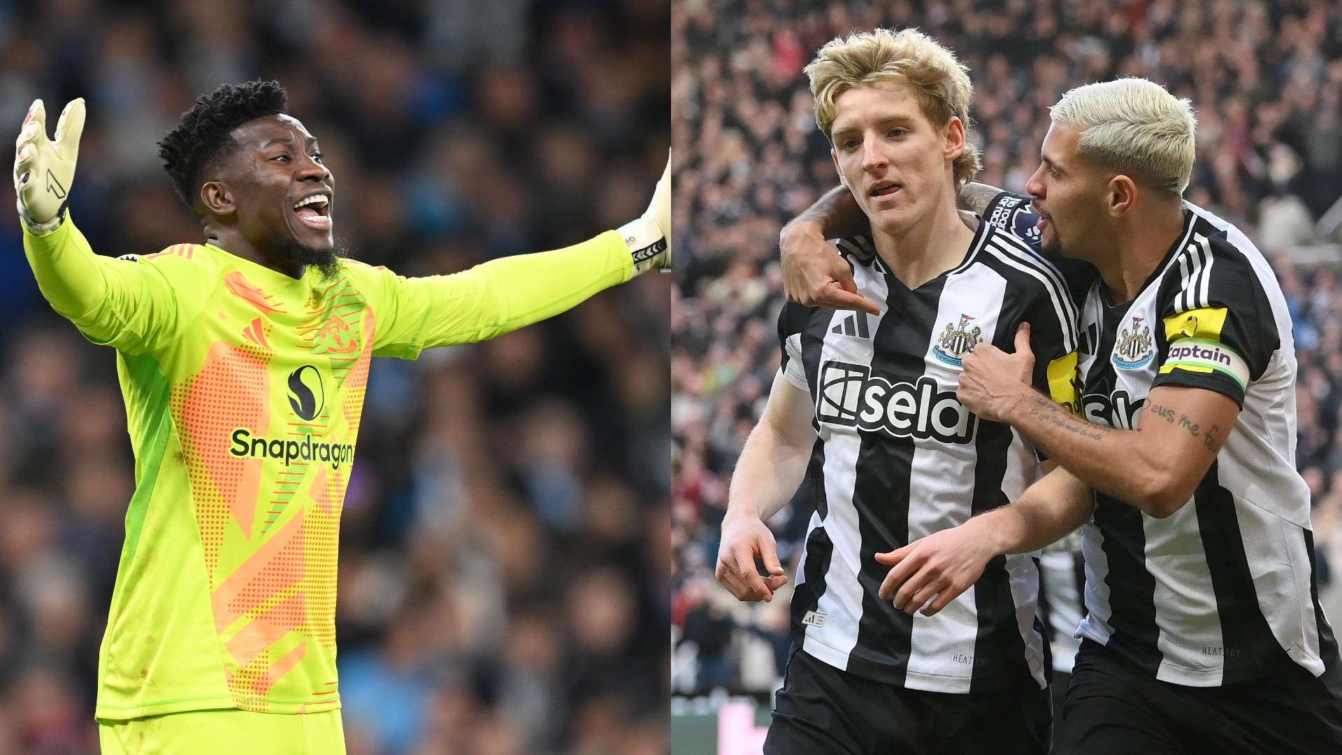 全面地理解 全面地理解