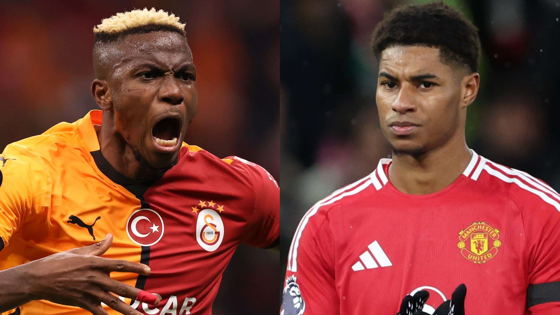 观察最新的 观察最新的