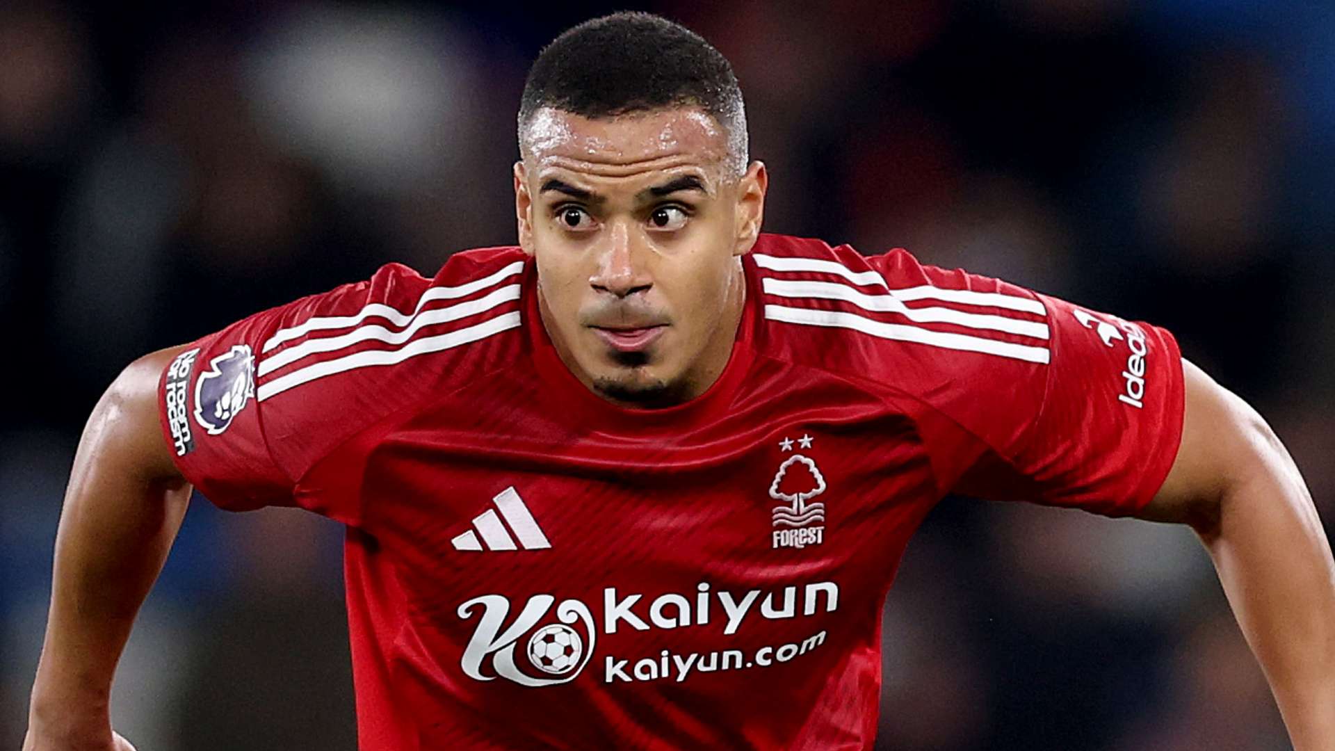 米兰法院的 米兰法院的