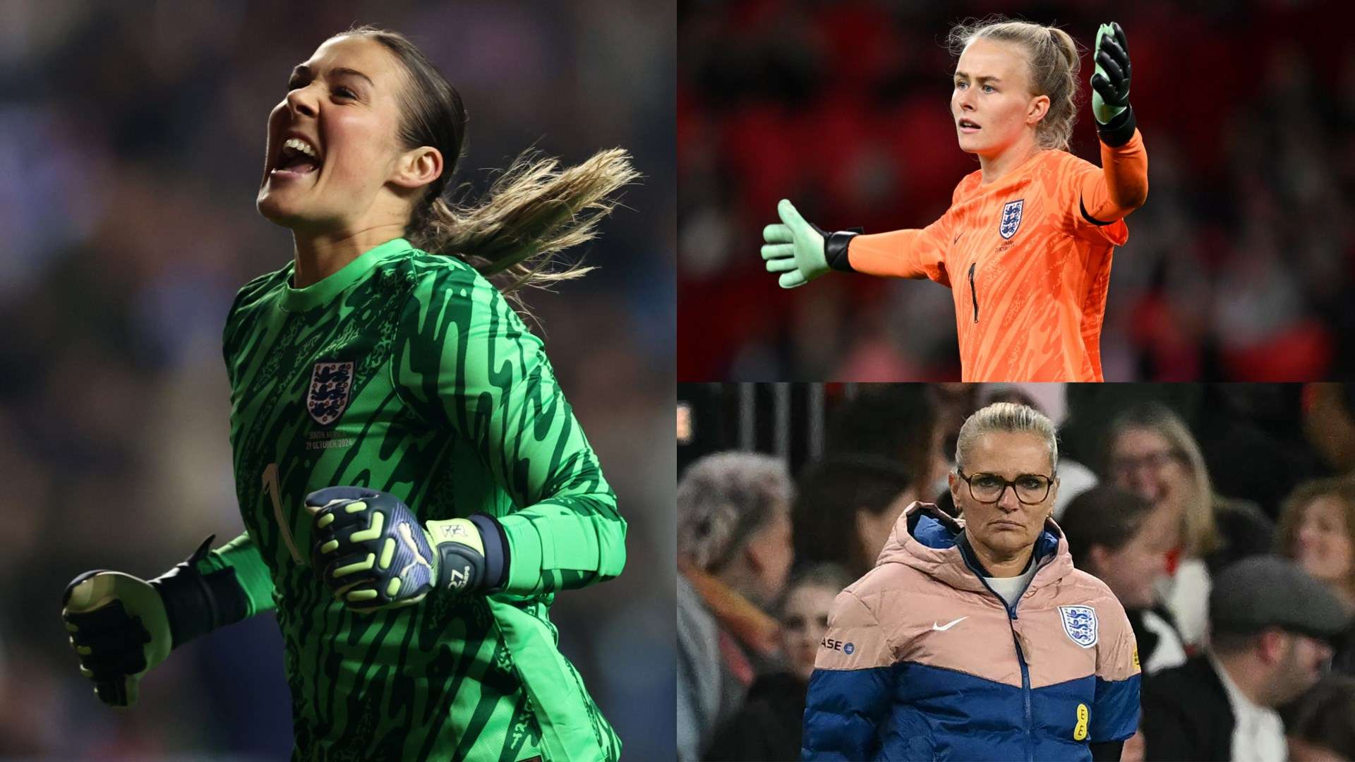 进而创造出 进而创造出