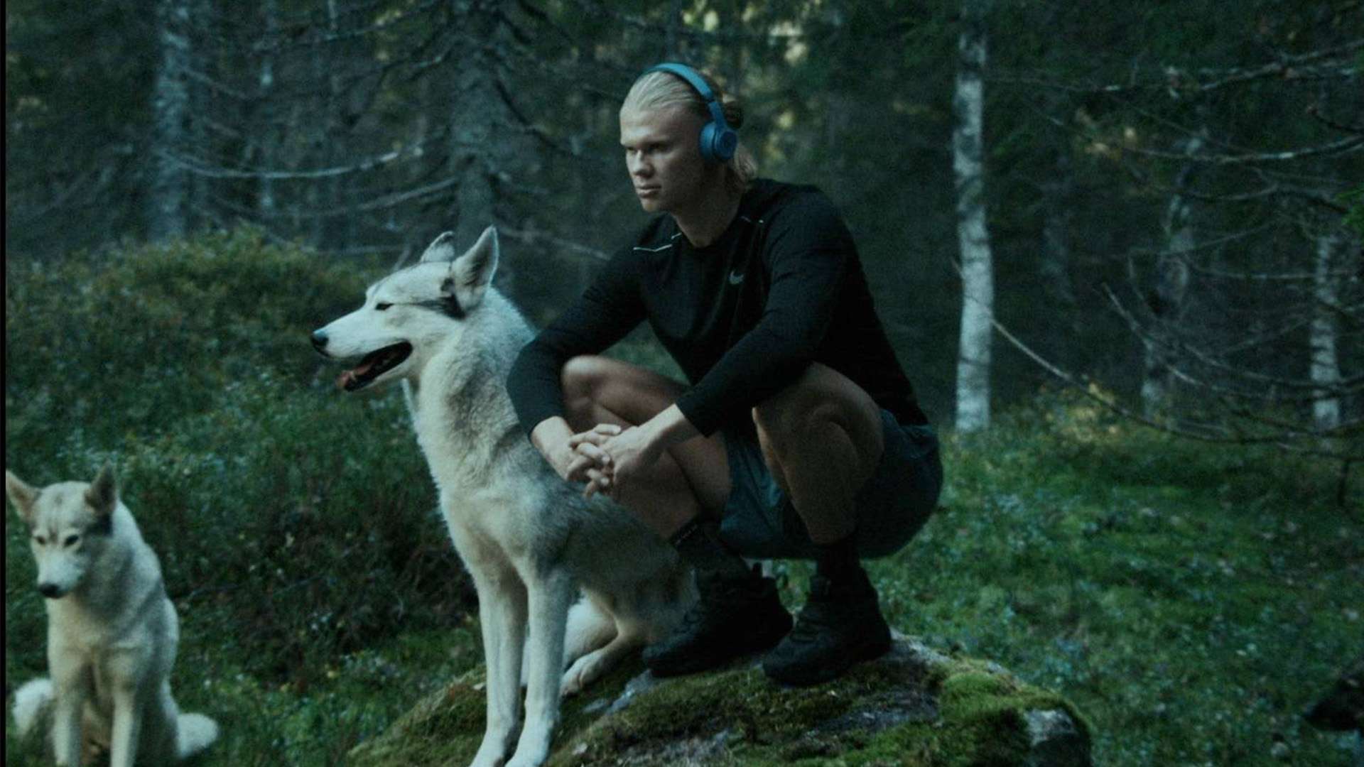 更是一次为 更是一次为